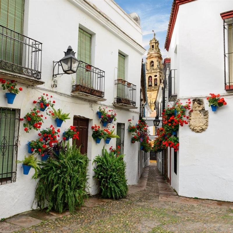 El Patio De San Miguel Daire Cordoba Dış mekan fotoğraf