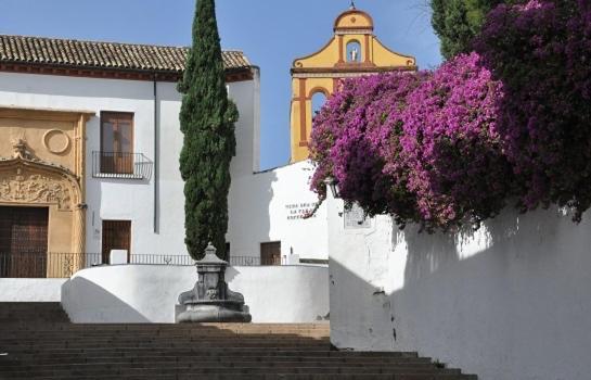 El Patio De San Miguel Daire Cordoba Dış mekan fotoğraf